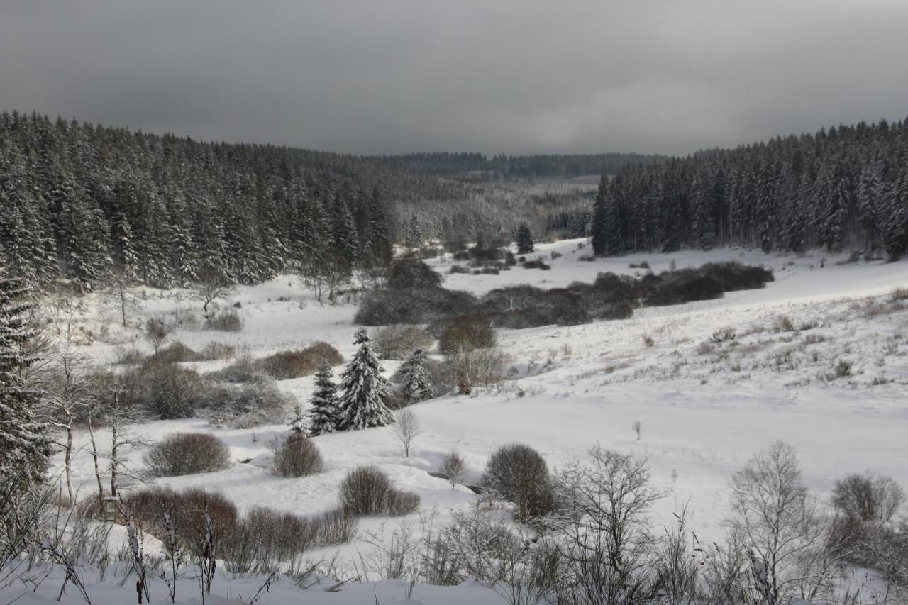 Vila Le Nid Des Mesanges Bullange Exteriér fotografie