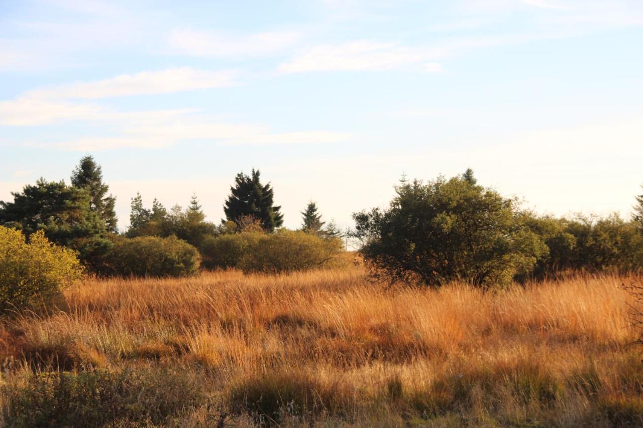 Vila Le Nid Des Mesanges Bullange Exteriér fotografie